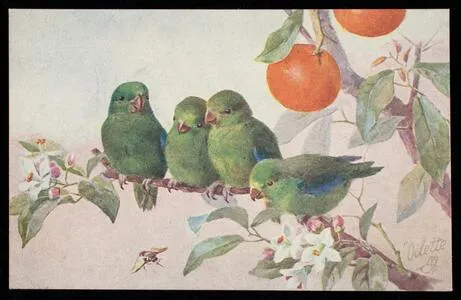 Birds and blossoms [LL12860]