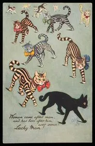 a Cats postcard