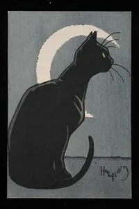 Black cat with crescent moon