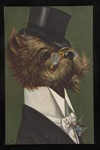 Dog in formalwear