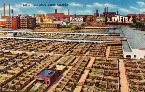 Union Stock Yards, Chicago