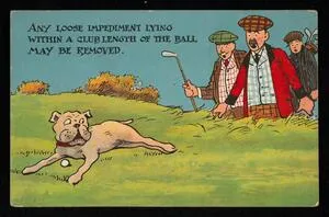 Any loose impediment lying within a club length of the ball may be removed