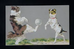 Dogs playing soccer