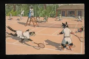 Cats playing tennis