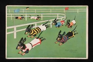 Dogs racing