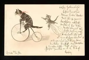 Cats riding bikes