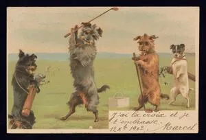 Dogs playing golf